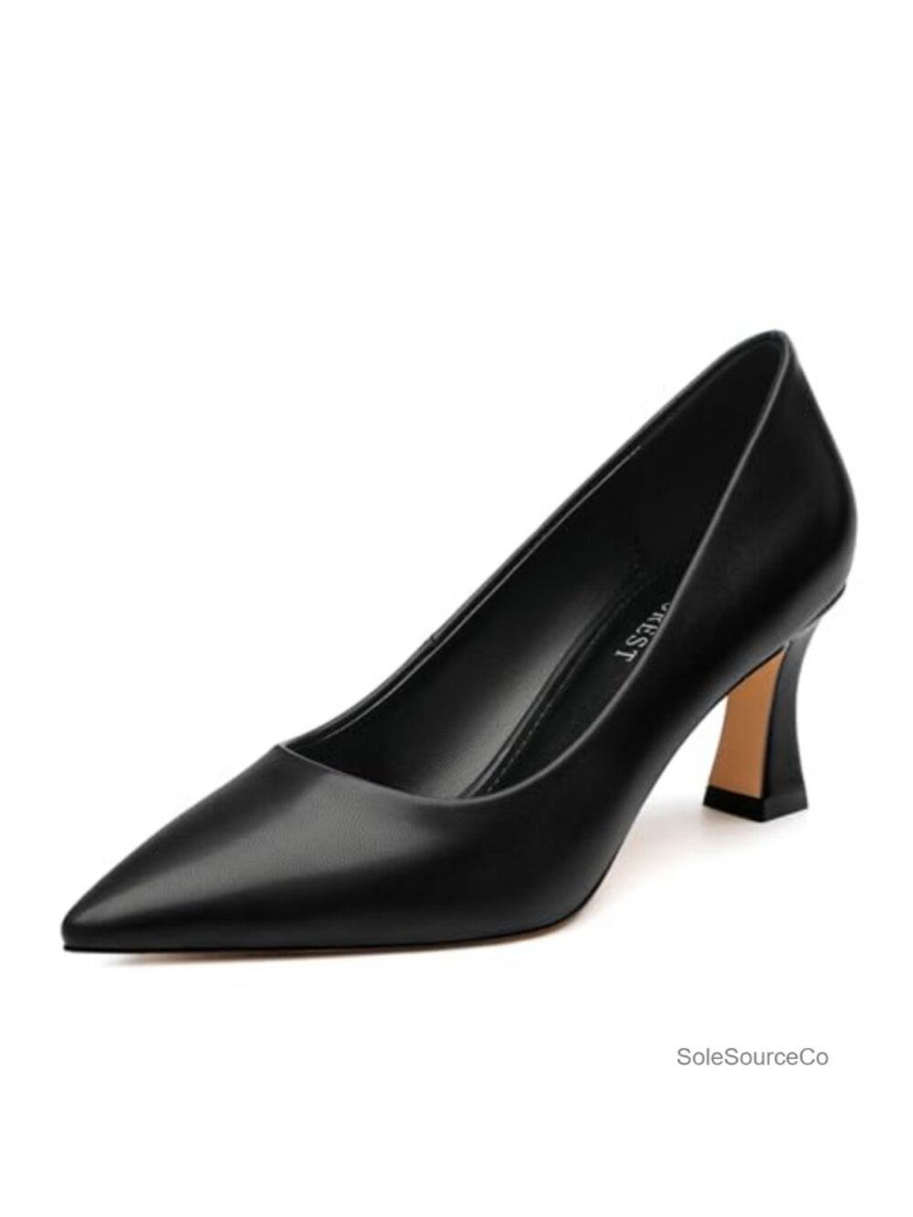 Women's Pointed Toe Pumps with 2.5" Stiletto Heel, Slip-on, Faux Leather,